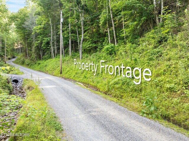 Emerald Springs Loop, Sevierville, TN 37862