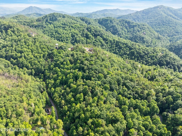 Emerald Springs Loop, Sevierville, TN 37862