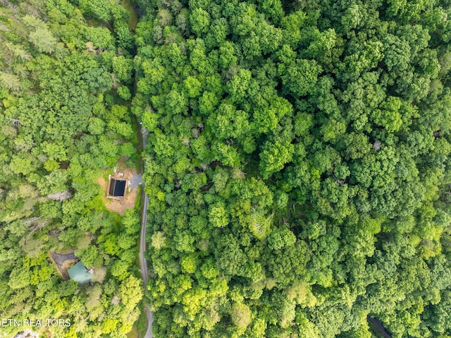Emerald Springs Loop, Sevierville, TN 37862