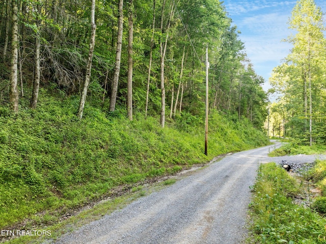 Emerald Springs Loop, Sevierville, TN 37862
