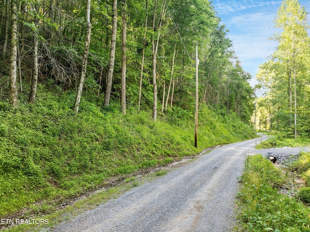 Emerald Springs Loop, Sevierville TN, 37862 land for sale