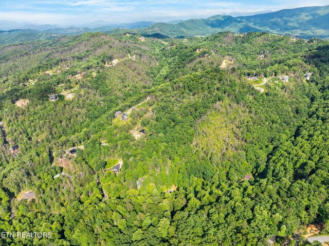 Emerald Springs Loop, Sevierville, TN 37862