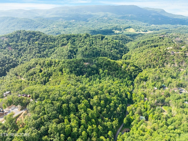 Emerald Springs Loop, Sevierville, TN 37862
