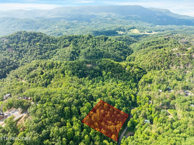 Emerald Springs Loop, Sevierville, TN 37862