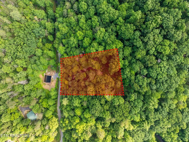 Emerald Springs Loop, Sevierville, TN 37862