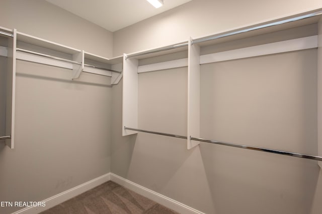 spacious closet with carpet floors