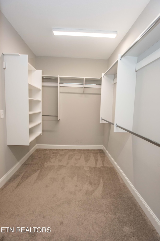 walk in closet with carpet