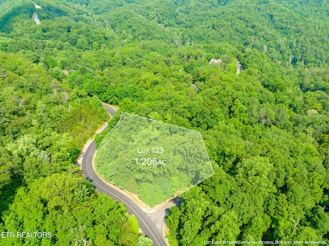 Long Rifle Rd, Sevierville, TN 37862