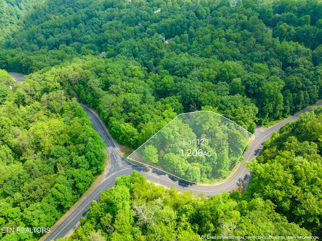Long Rifle Rd, Sevierville, TN 37862