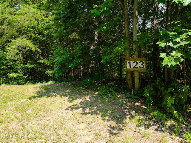 Long Rifle Rd, Sevierville, TN 37862