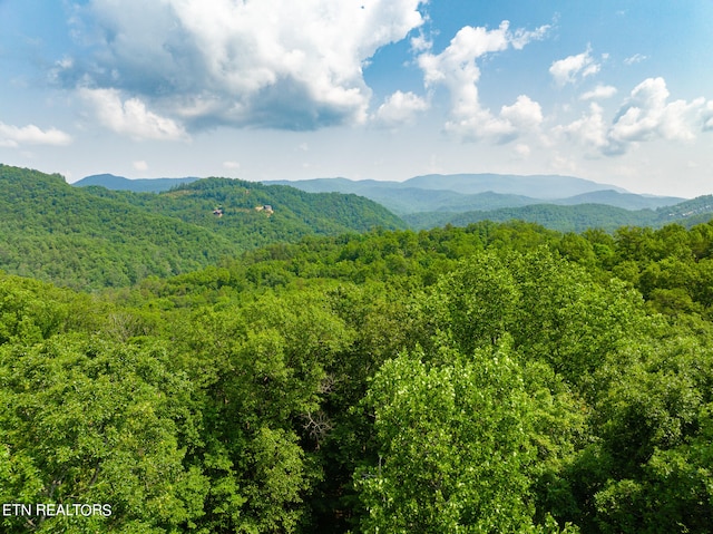 Long Rifle Rd, Sevierville, TN 37862