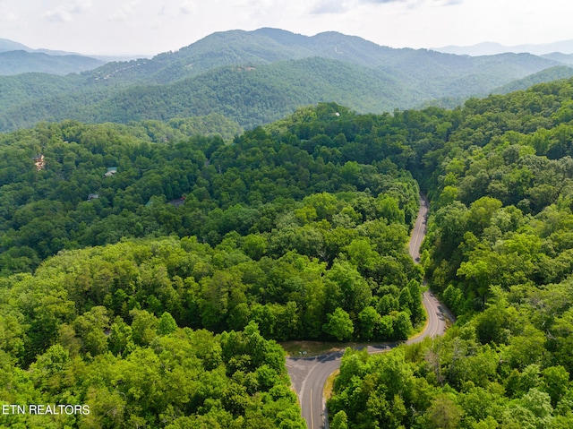 Long Rifle Rd, Sevierville, TN 37862