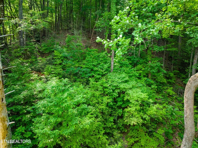 Long Rifle Rd, Sevierville, TN 37862