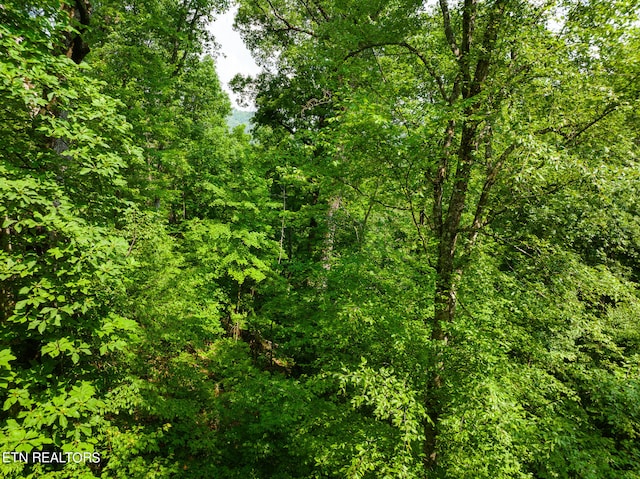 Long Rifle Rd, Sevierville, TN 37862