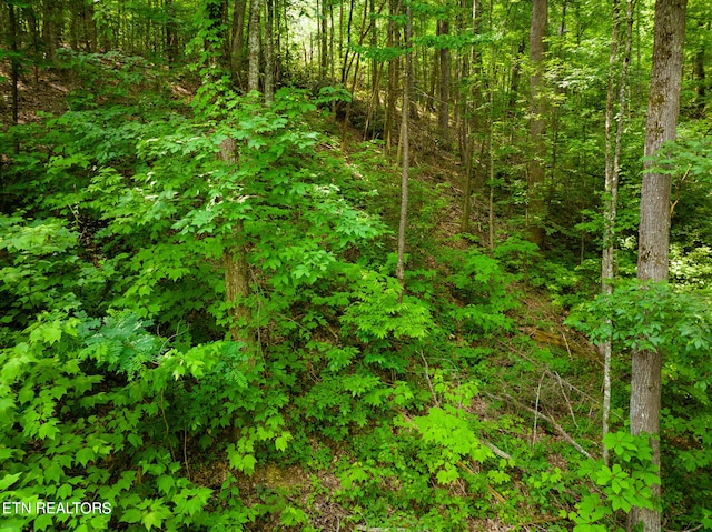 Long Rifle Rd, Sevierville, TN 37862