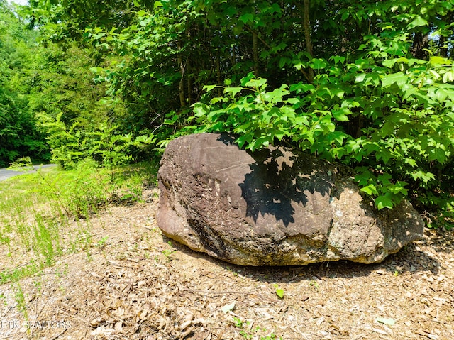 Long Rifle Rd, Sevierville, TN 37862
