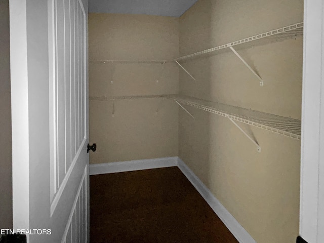 view of walk in closet