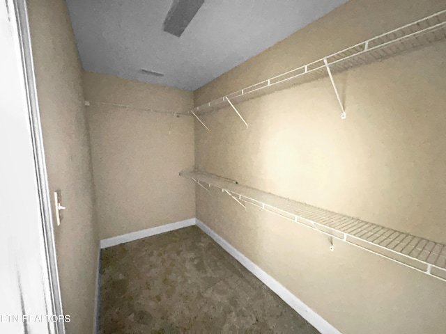2113 Griffitts Mill Cir, Maryville, TN 37803 - walk in closet with carpet