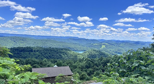 Chimney Rock Rd, New Tazewell TN, 37825 land for sale