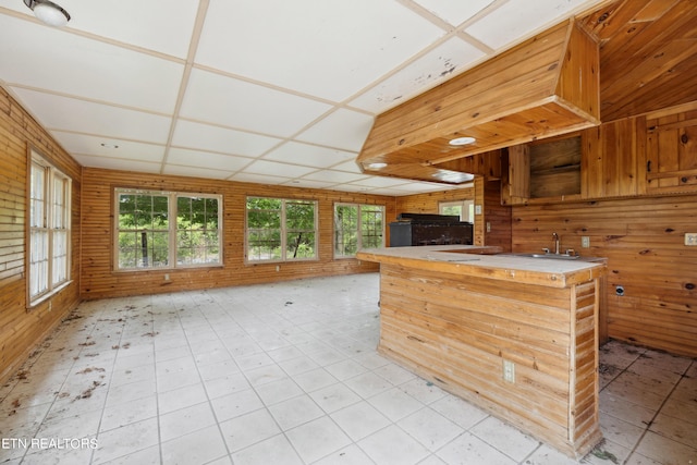 kitchen featuring kitchen peninsula and wooden walls