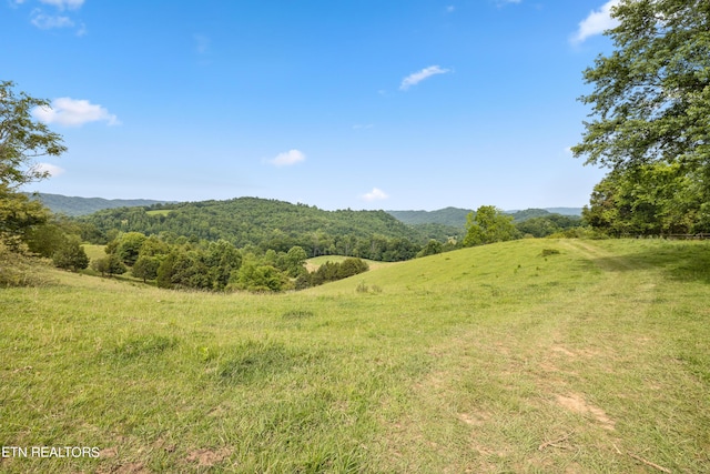 view of mountain feature with a rural view