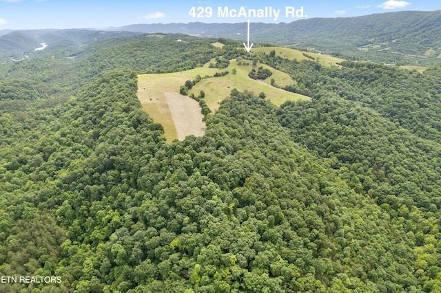 birds eye view of property with a mountain view