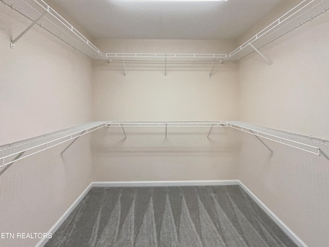 walk in closet featuring dark colored carpet