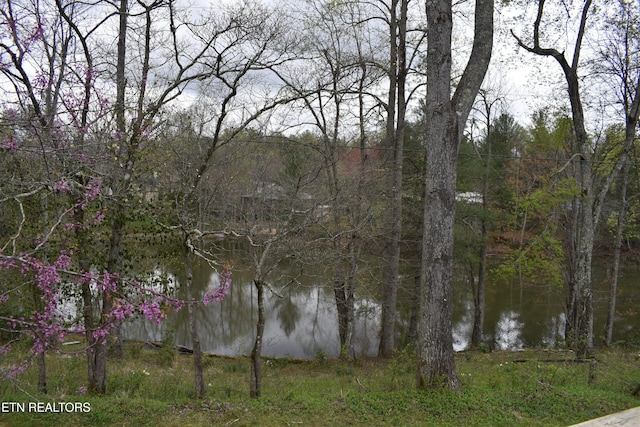 property view of water featuring a view of trees
