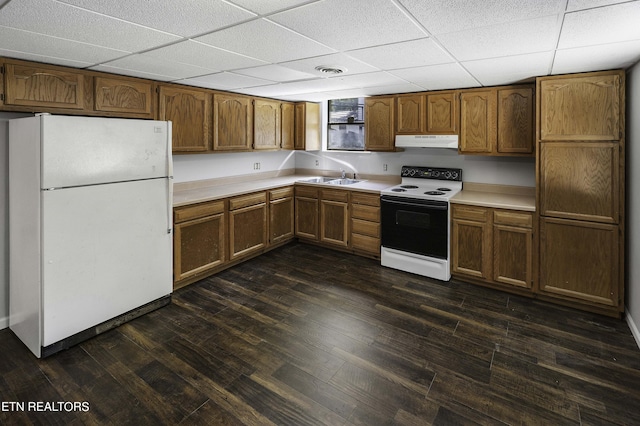 kitchen with white appliances, dark hardwood / wood-style floors, a paneled ceiling, and sink