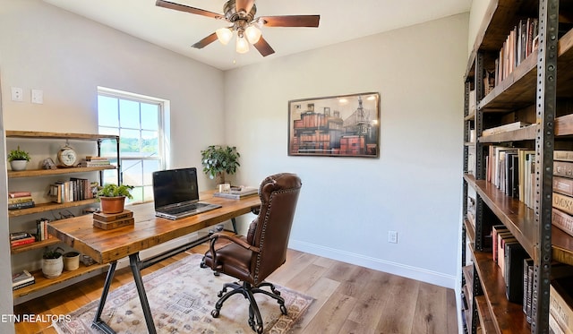 office with ceiling fan and light hardwood / wood-style flooring