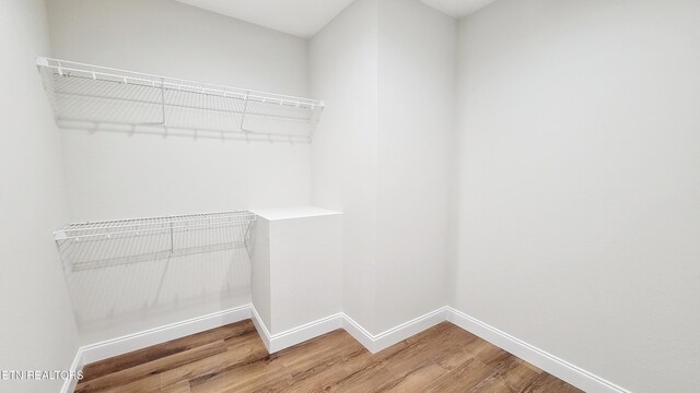 walk in closet with light wood finished floors