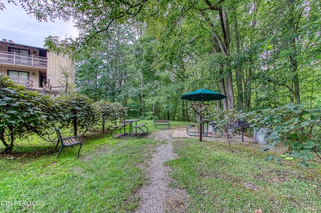 1081 Cove Rd Unit 1012, Sevierville, TN 37876 - view of yard