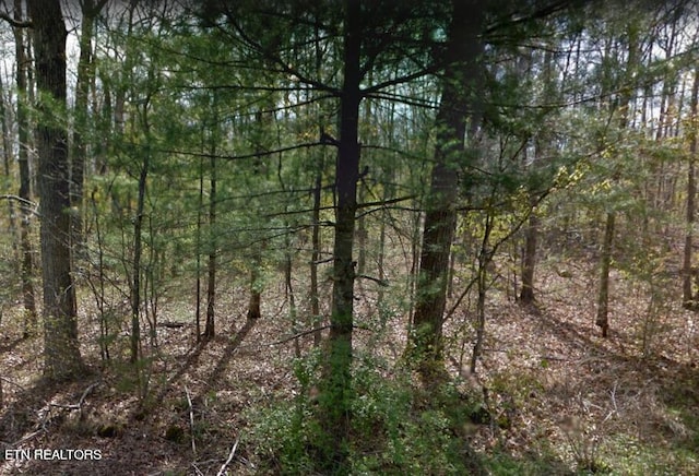 2032 Coyote Dr, Crossville TN, 38572 land for sale