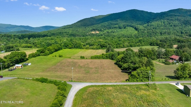 Holders Grove Rd, Cosby TN, 37722 land for sale