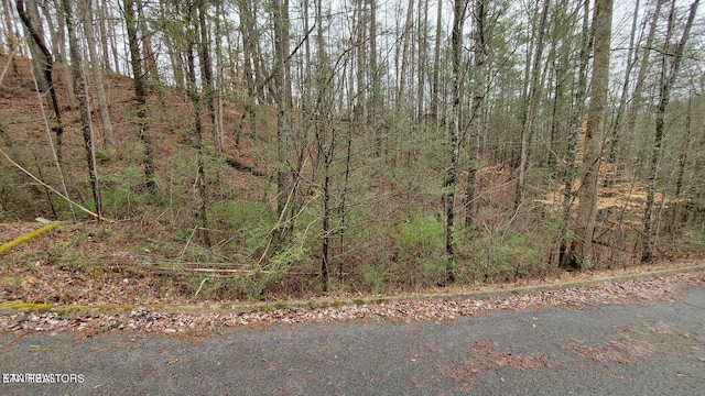 LOT11 Peace Ln, Sevierville TN, 37876 land for sale