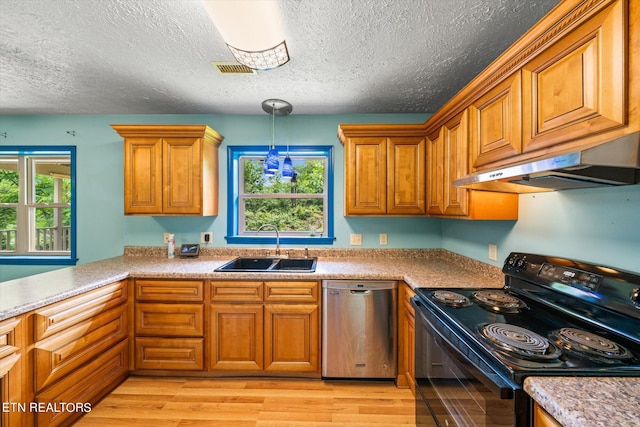 kitchen with sink, hanging light fixtures, light wood-type flooring, electric range, and stainless steel dishwasher