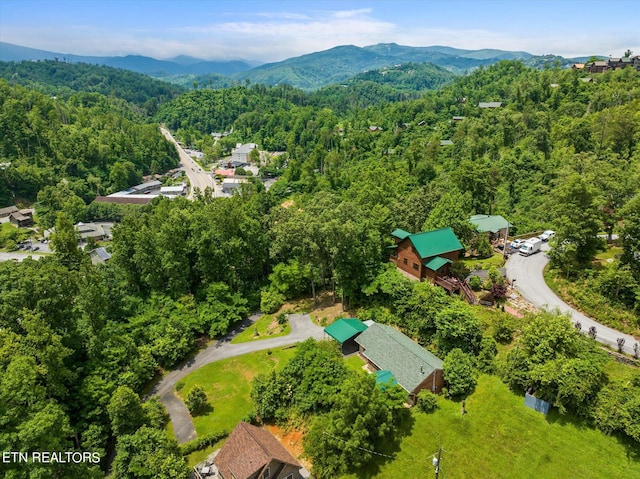 bird's eye view with a mountain view