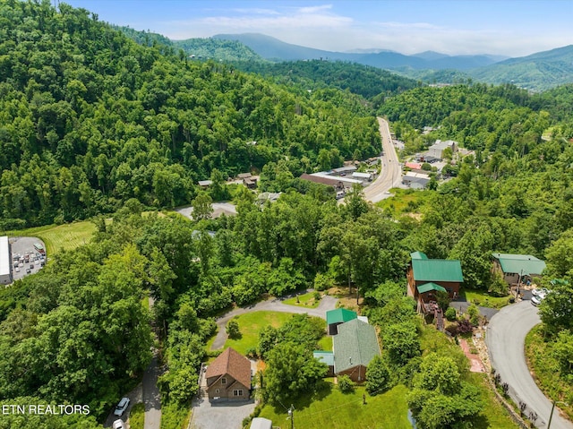 drone / aerial view with a mountain view