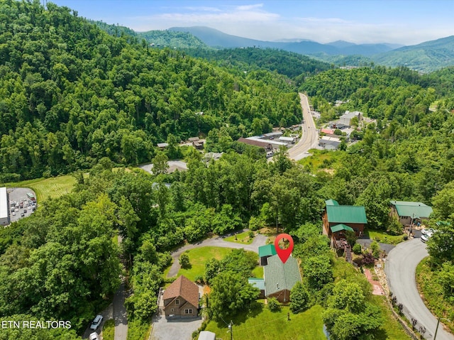 aerial view with a mountain view