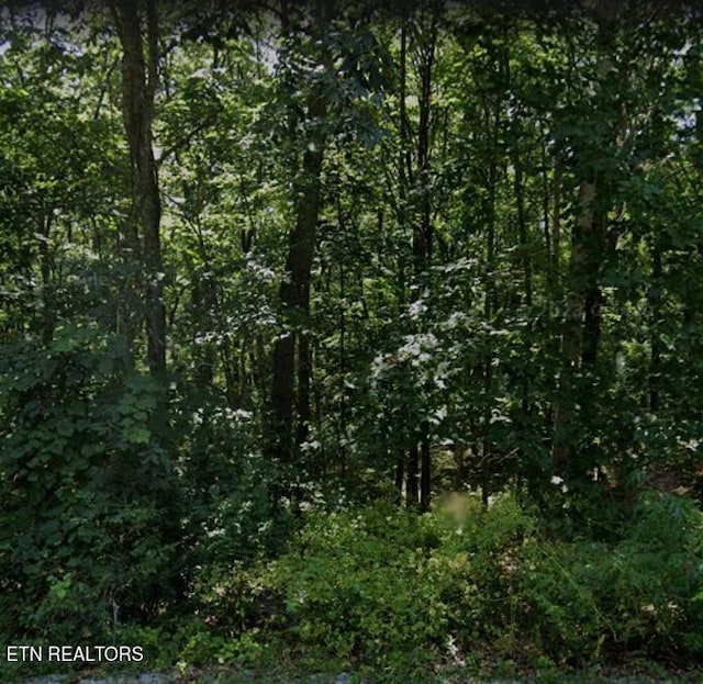 318 Snead Dr, Crossville TN, 38558 land for sale