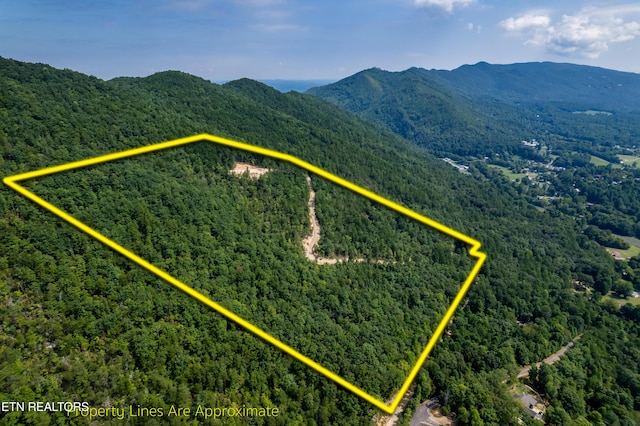 216 Old Cove Rd, Walland TN, 37886 land for sale