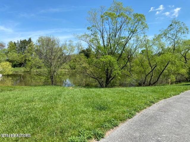 7516 Silveredge Rd, Knoxville, TN 37918 - photo 28