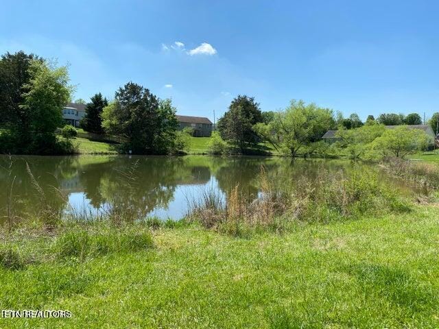 7516 Silveredge Rd, Knoxville, TN 37918 - photo 29