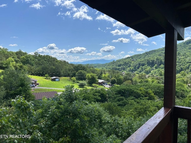 mountain view