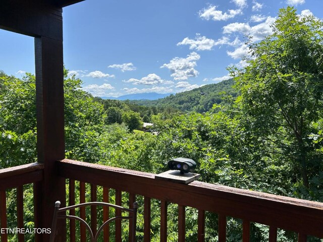view of mountain feature