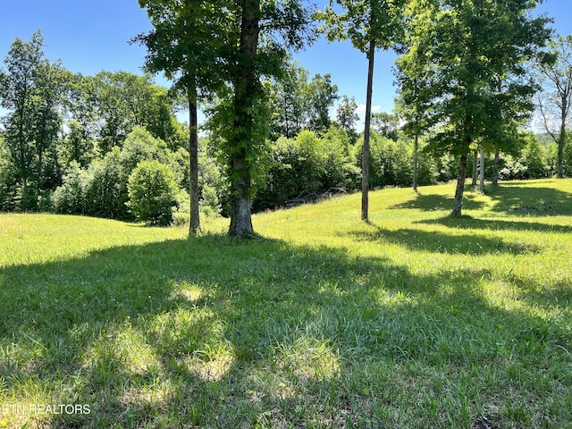 Bluff View Loop, Crossville TN, 38571 land for sale