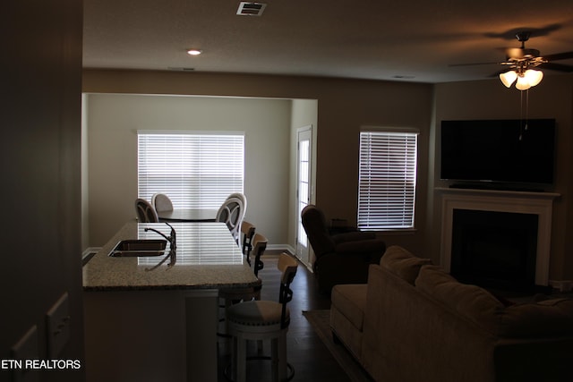 interior space featuring ceiling fan, sink, and dark hardwood / wood-style floors