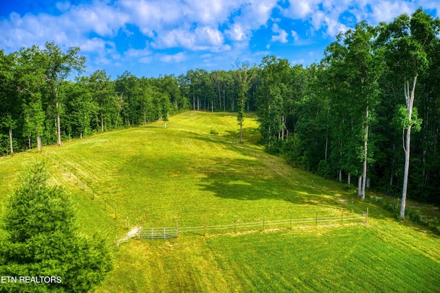 view of local wilderness with a rural view