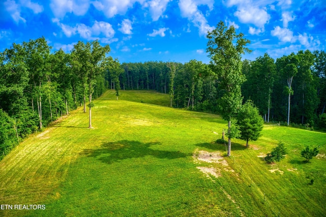 view of property's community featuring a yard