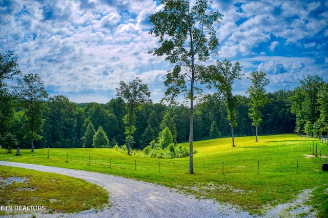 view of property's community featuring a yard and a rural view